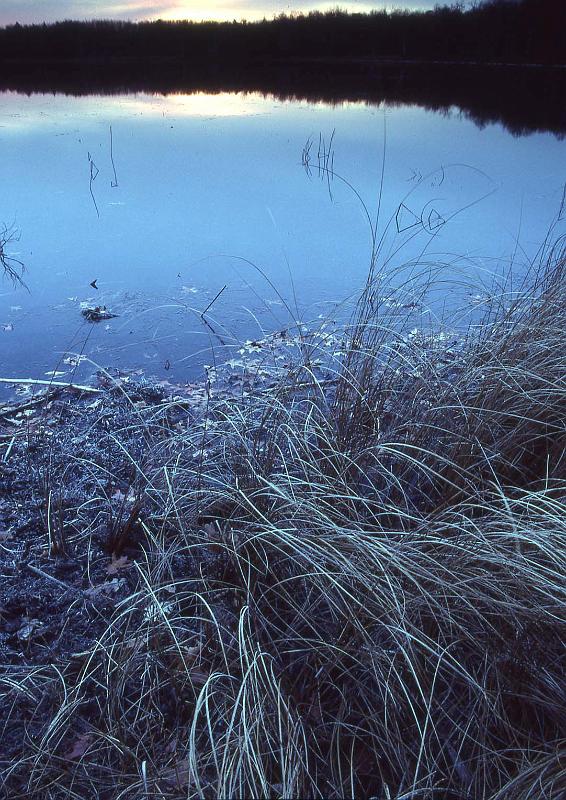 Fall 1990 MN Lake.jpg